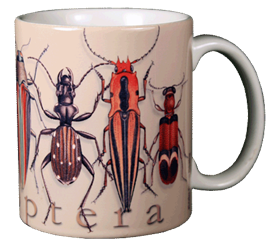 oleoptera beetles Ceramic Mug
