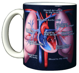 Heart Anatomy  Ceramic Mug