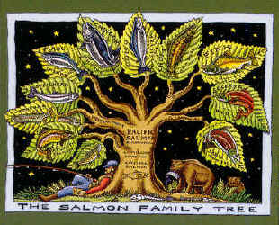 Ray Troll King cladistics salmon family tree fish humor Salmon Family Tree t-shirt