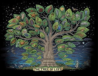 Ray Troll Tree Of Life t-shirt