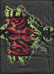 south and central american tropical poison dart Frog species on a t-shirt