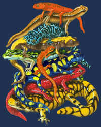 Pile-O-Manders Salamander pile t-shirt