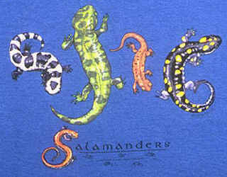 salamander species on a t-shirt