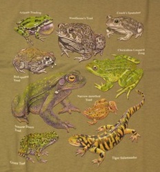 world of frog and toad species on a t-shirt