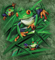 south and central american tropical poison dart and red eyed treefrog tree Frog species on a t-shirt
