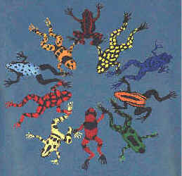 south and central american tropical poison dart Frog species on a t-shirt
