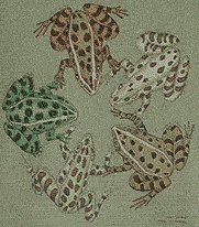 north american leopard Frog patterns species in a circle on a t-shirt