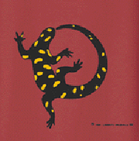 spotted salamander species on a t-shirt