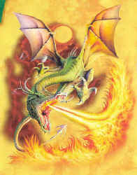 dragon t-shirt tshirt tee shirt