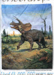 triceratops dinosaurs t-shirt tshirt tee shirt