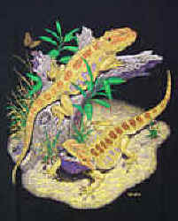 Bearded Dragons lizard t-shirt tshirt tee shirt