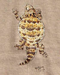 Horned Toad lizard t-shirt tshirt tee shirt