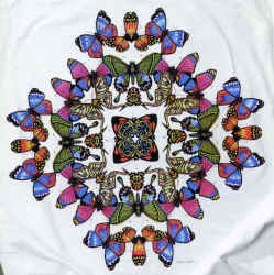 butterfly lepidoptera kaleidoscope pattern species on a t-shirt