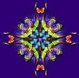 butterfly lepidoptera kalaidoscope pattern species on a t-shirt