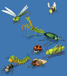 preying mantis and other predator beneficial insect species on a t-shirt youth tee, cotton insect shirts, tees, teeshirt, t-shirts, t-shirts