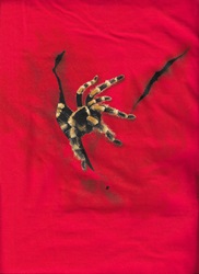 creepy crawley taratntula natural geography spider t-shirts