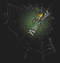 Argiope spider arachnid species org spider garden spider on a t-shirt youth tee, cotton insect shirts, tees, teeshirt, t-shirts, t-shirts