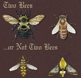 two bees and two bee mimics on a t-shirt youth tee, cotton insect shirts, tees, teeshirt, t-shirts, t-shirts
