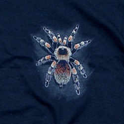 spider arachnid red knee tarantula scorpion species on a t-shirt youth tee, cotton insect shirts, tees, teeshirt, t-shirts, t-shirts