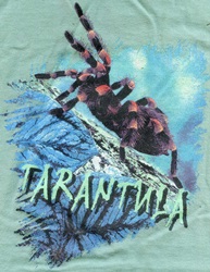 spider arachnid red knee tarantula scorpion species on a t-shirt youth tee, cotton insect shirts, tees, teeshirt, t-shirts, t-shirts