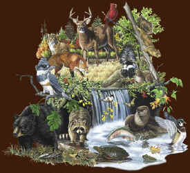 mammals of north america native animals t-shirt tshirt tee shirt