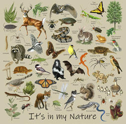 north american wildlife nature it's in my nature native animals t-shirt