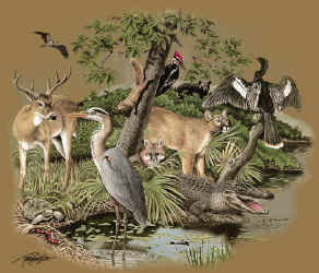 southern wetlands habitat, Natural History, north american northern habitat mammals t-shirt