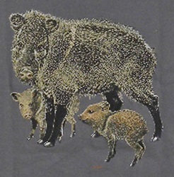 Javelina peccary wild boar pig mammals of north america native animals t-shirt tshirt tee shirt