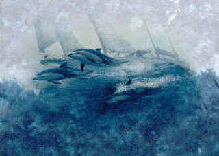 marine mammal species dolphins cetaceae cetacean of t-shirt tshirt tee shirt