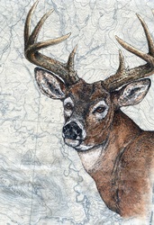 deer buck doe fawn whitetail white tail deer herd t-shirt tshirt tee shirt