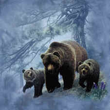 grizzly bear family t-shirt tshirt tee shirt