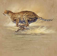 cheetah leopard wild big cat species of t-shirt tshirt tee shirt