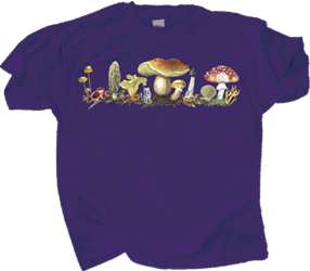 mushroom plant species comparing fruiting bodies and morphology graphic t-shirt  tee shirt tshirt