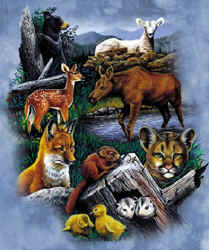 Natural History north american wildlife woodland habitat scene forest t-shirt