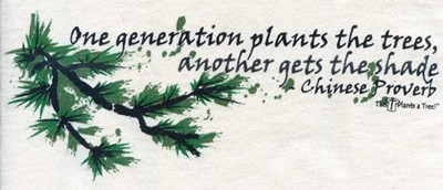 One generation plants the trees, another gets the shade, A Chinese Proverb on a t-shirt tee shirt tshirt