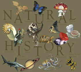 Natural History t-shirt