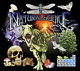 Natural History t-shirt