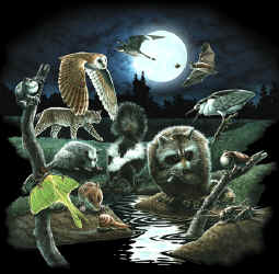 Natural History, north american nightlife habitat mammals t-shirt
