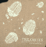 trilobite fossil t-shirt
