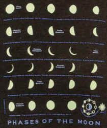 moon phases Astronomy with glow in the dark ink  t-shirt