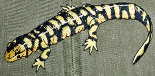 Tiger Salamander  amphibian hat embroidered cap baseball trucker Embroidered Cap