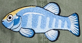 Ray Troll Fish Hat ball hat baseball embroidered cap adjustible trucker