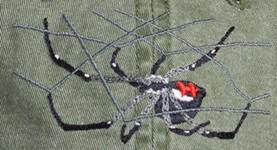 Black Widow Spider Arachnid arachnida  Insect  invertebrate Hat ball hat baseball embroidered cap adjustible trucker