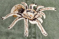 Blond Tarantula  Insect invertebrate Hat ball hat baseball embroidered cap adjustible trucker