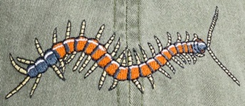 Centipede arthropod Insect invertebrate Hat ball hat baseball embroidered cap adjustible trucker