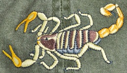 Desert Hairy Scorpion arthropod Insect invertebrate Hat ball hat baseball embroidered cap adjustible trucker