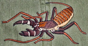 Vinegaroon arthropod Insect invertebrate Hat ball hat baseball embroidered cap adjustible trucker