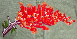 Desert Blooms Ocotillo Hat Embroidered Cap
