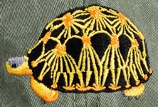 Radiated Tortoise Hat Madagascar tell hicks Reptile Hat ball hat baseball embroidered cap adjustible trucker