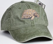 Tortoise Hat Embroidered Cap